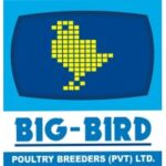 Big Bird Group Jobs