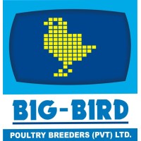 Big Bird Group Jobs