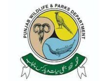 Directorate General Wildlife & Parks Jobs