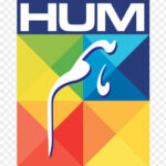 Hum Network Ltd Jobs