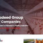 Jadeed Group Jobs