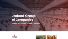 Jadeed Group Jobs
