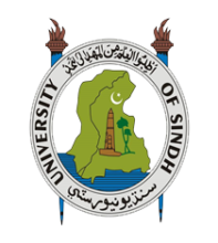 Mohtarma Benazir Bhutto Sindh University Staff Housing Scheme (MBBSUSHS) Jobs