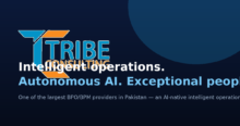 Tribe Consulting Jobs