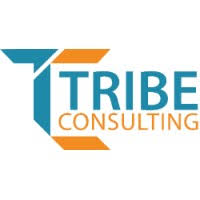 Tribe Consulting Jobs