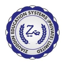 Ziauddin School and College Jobs